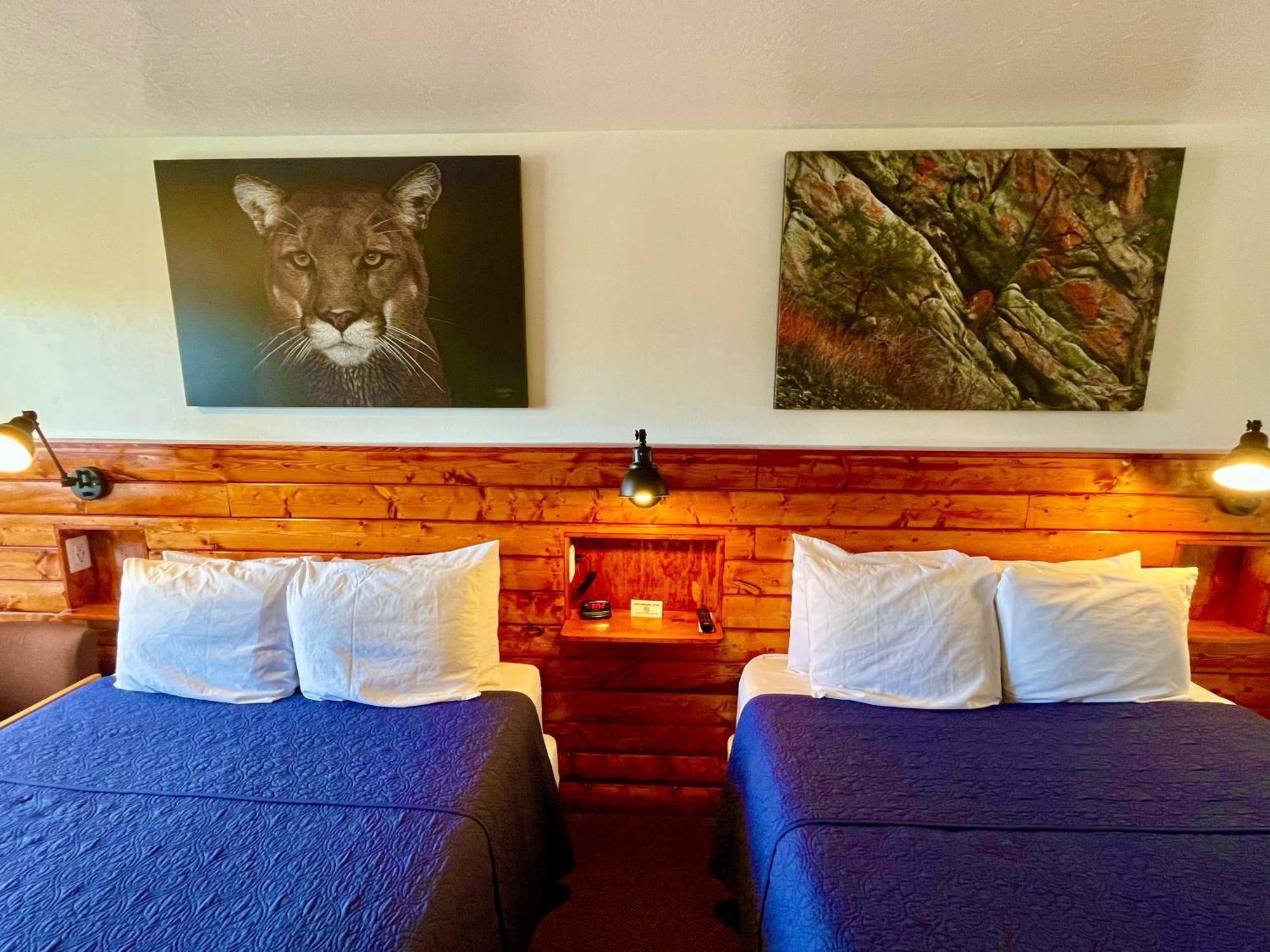 Red Bear Inn Ennis Extérieur photo
