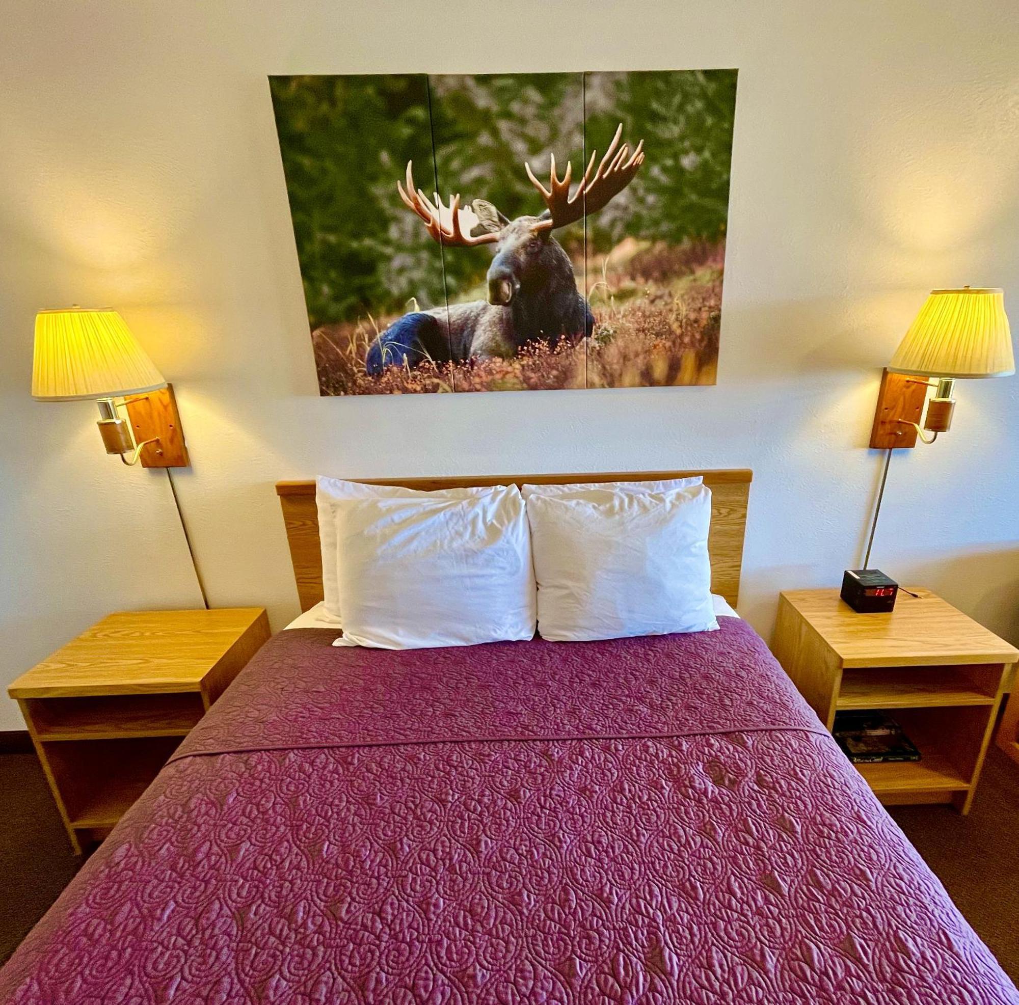 Red Bear Inn Ennis Extérieur photo